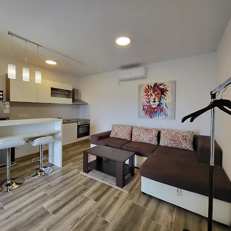 Apartment Lucic Vir